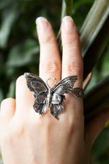 Wings of Wild Reverie, AR- 7444
