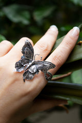Wings of Wild Reverie, AR- 7444