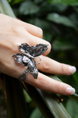 Wings of Wild Reverie, AR- 7444
