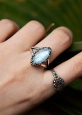Moonstone Ring 925 Sterling Silver, AR-6702