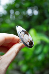 Earthlines – Picasso Jasper Ring, AR- 7592