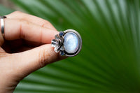 Moonstone Ring, AR-7158