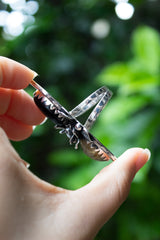 Bloom of Eclipse: Black Onyx & Golden Rutile Ring, AR-7617