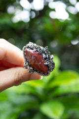 Crimson Petals of Apple Valley: Jasper Ring, AR- 7603