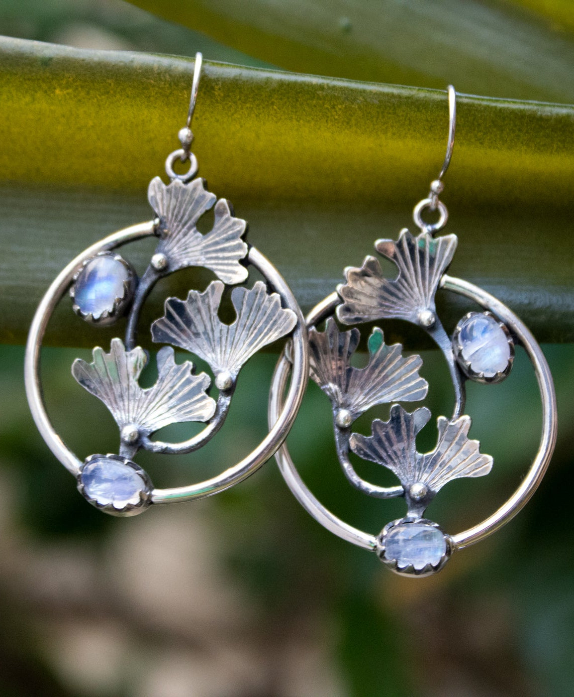 Moonstone Hoop Earrings with Ginkgo Leaves, AE-6828