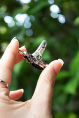 Serpent’s Embrace: Black Onyx Ring, AR- 7637