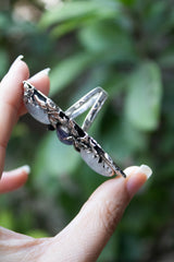 Twilight Dream — Moonstone & Tanzanite Ring, AR- 7772