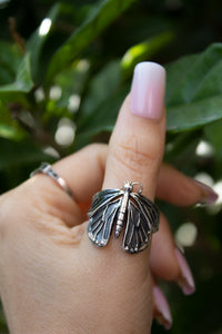 Metamorphosis Butterfly Silver Ring, AR- 7378