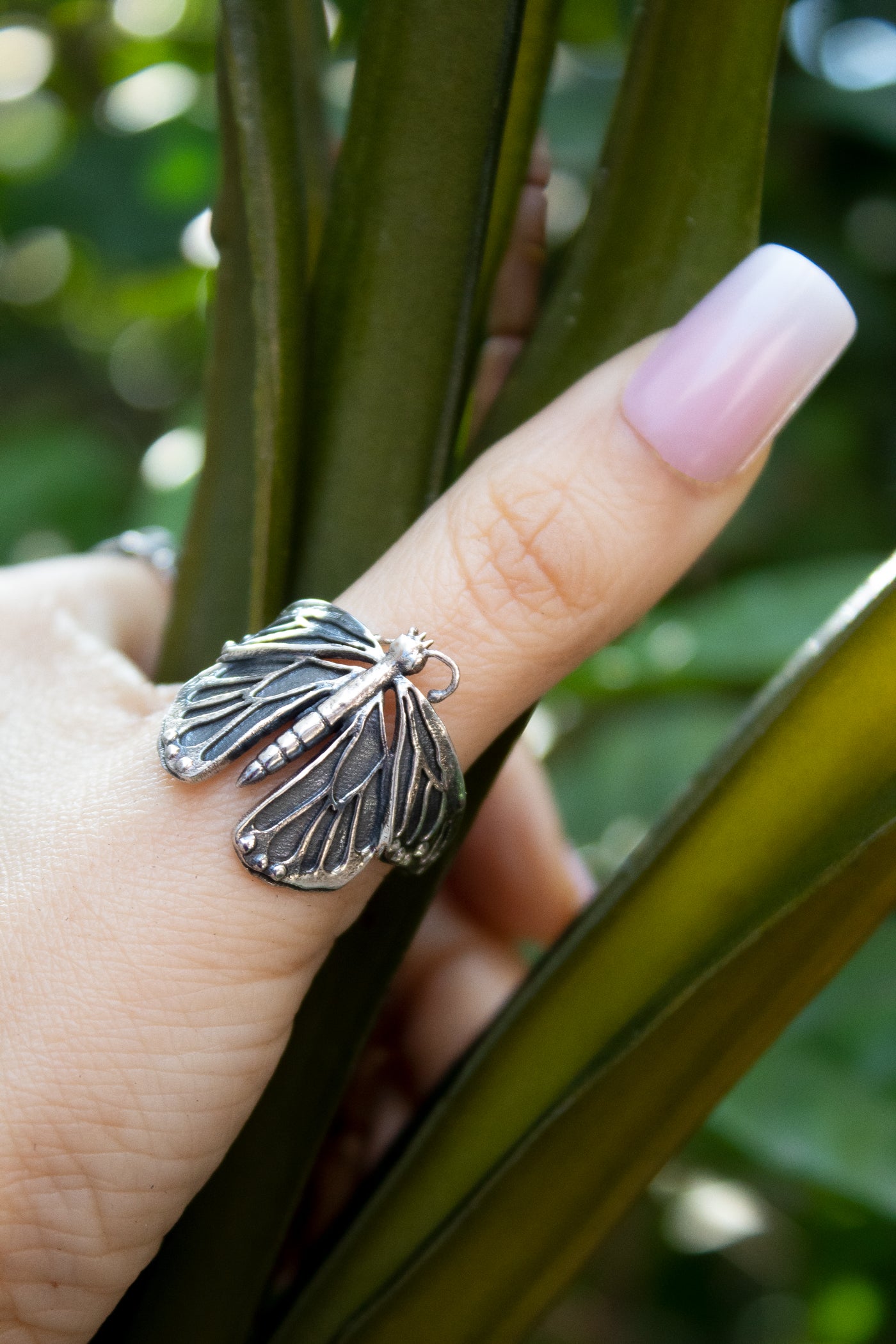 Metamorphosis Butterfly Silver Ring, AR- 7378