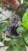 Nocturnal Whisper: Black Onyx Owl Pendant, AP-7070