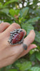 Crimson Petals of Apple Valley: Jasper Ring, AR- 7603