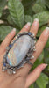 Lunar Bloom: Moonstone & Kyanite Garden Ring, AR-7321