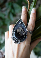 Anillo Gato Media Luna Ónix Negro AR-6628