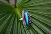 Labradorite Ring, Blue Flash Labradorite Sterling Silver Ring, SKU 6254